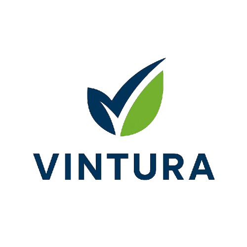 Vintura